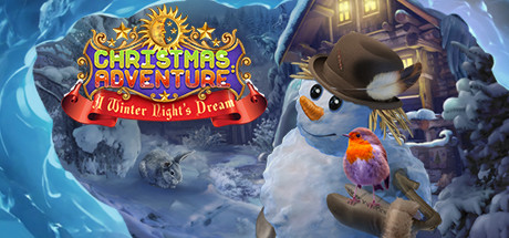 Christmas Adventures: A Winter Night's Dream Cover Image