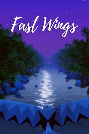 Fast Wings cover art