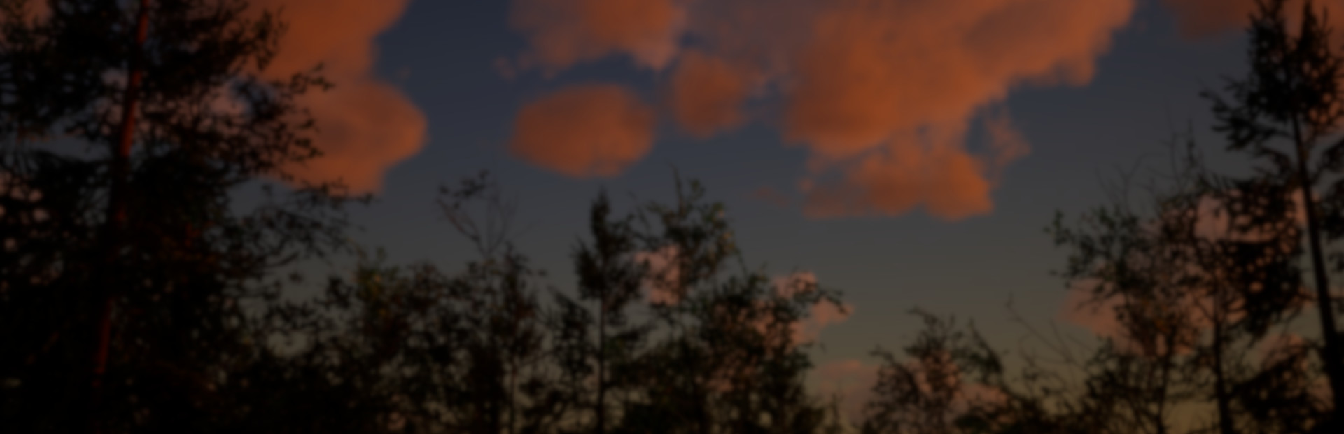 Far Lands