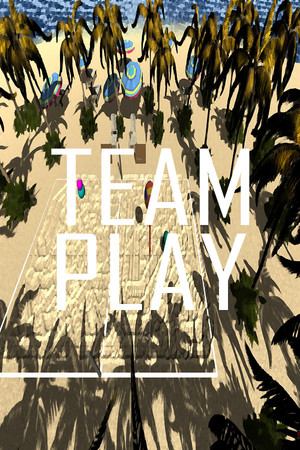 TeamPlay cover art