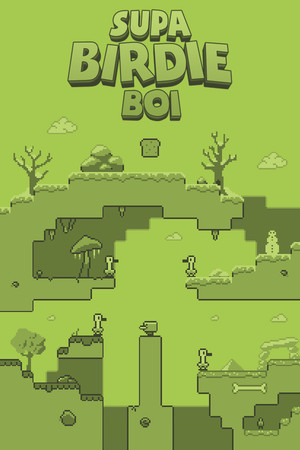 Supa Birdie Boi cover art