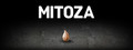 Mitoza