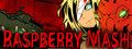 RASPBERRY MASH