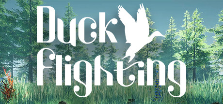 duck flighting