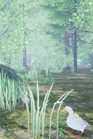 Duck Flight Simulator 2021 cover art