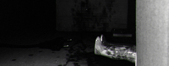 Darkness Under My Bed