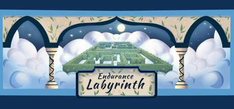 Endurance Labyrinth Cover Image