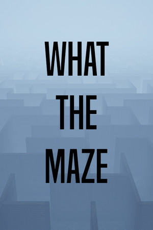 What The Maze cover art