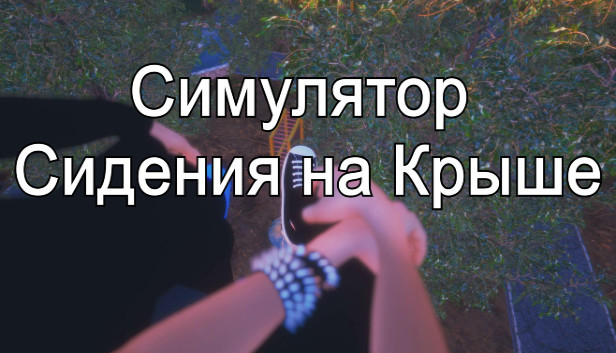 Симулятор Сидения на Крыше Steam capsule image