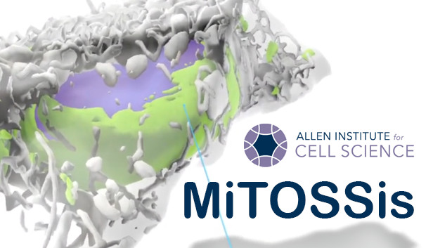 MiTOSSis Steam capsule image