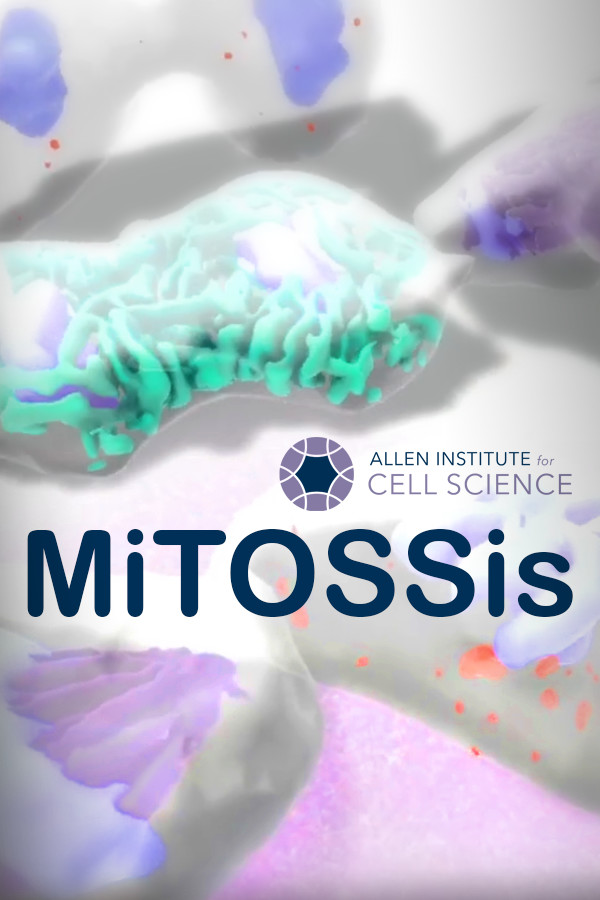 MiTOSSis