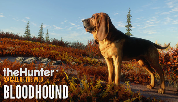theHunter: Call of the Wild™ - Bloodhound Steam capsule image