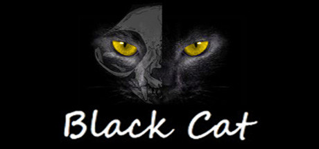 Black Cat Cover Image