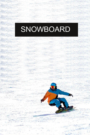 Snowboard