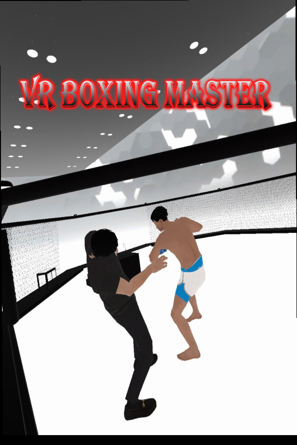 VR BOXING MASTER