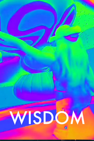Wisdom cover art