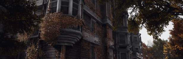 GIF_1.gif