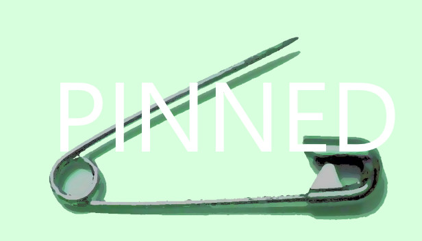 Pinned Steam capsule image