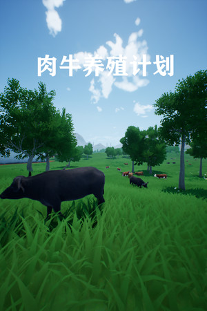 肉牛养殖计划