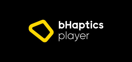 bHapticsPlayer header