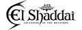 El Shaddai ASCENSION OF THE METATRON HD Remaster