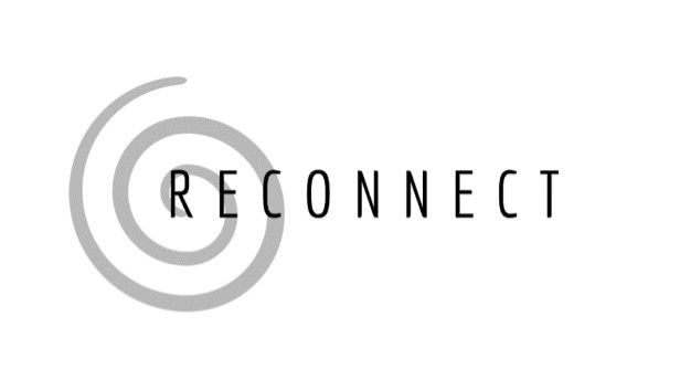 Reconnect Steam capsule image