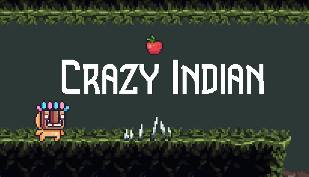 Crazy indian Steam capsule image