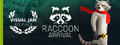 Raccoon Arrival