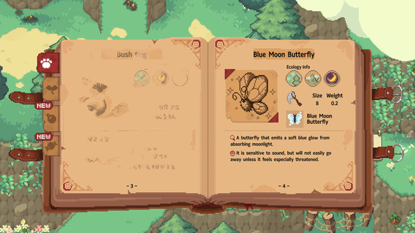 Little Witch in the Woods Free Steam Key 1