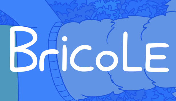 BRICOLE Steam capsule image
