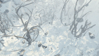 The Frosts: First Ones