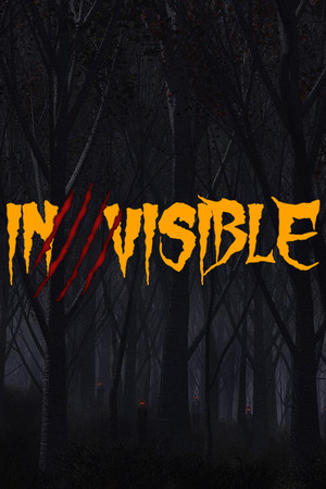 Invisible cover art