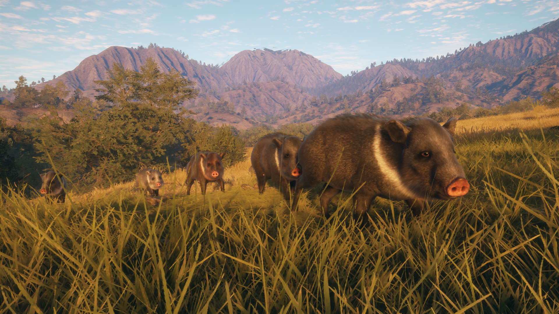 hunter call of the wild rancho del arroyo release date hunter call of the wild rancho del arroyo release date