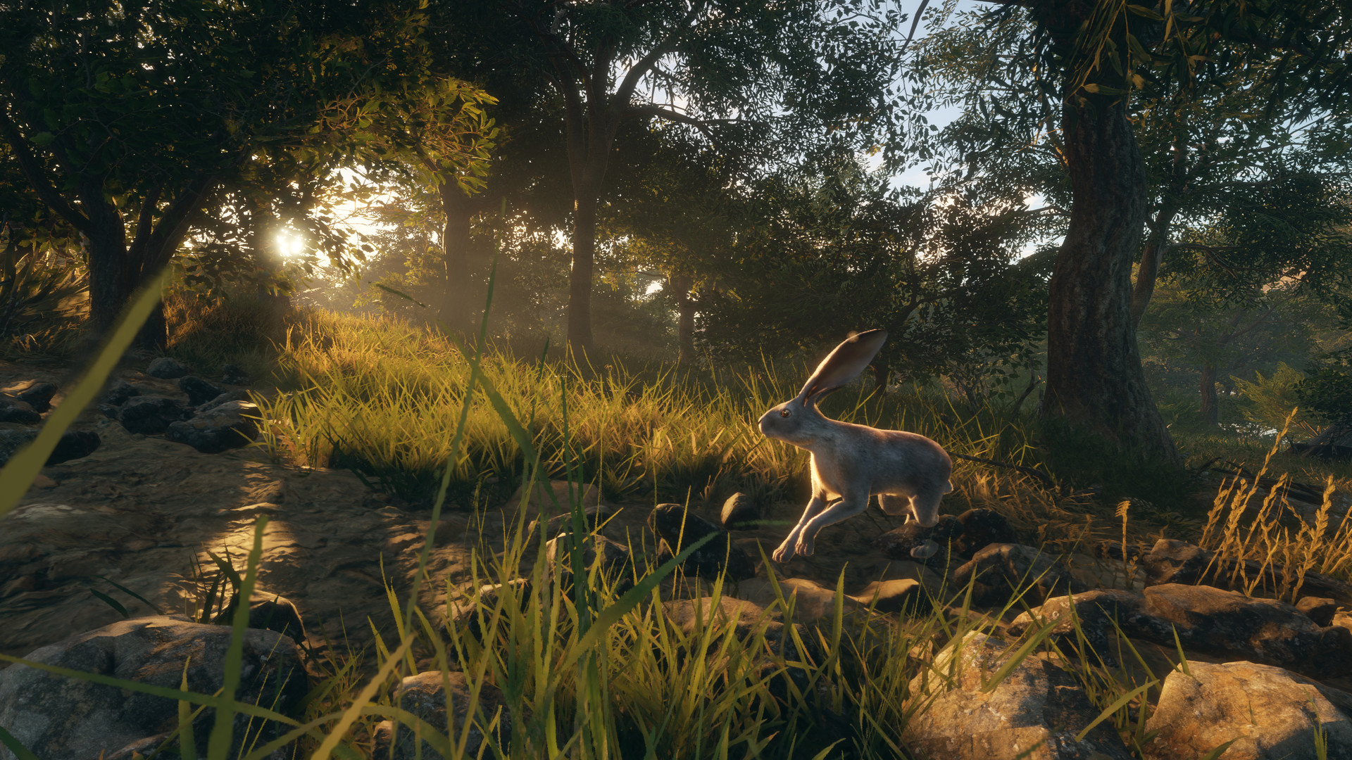 Experience Desert Hunting in Rancho del Arroyo, the New Reserve for  theHunter: Call of the Wild - Xbox Wire