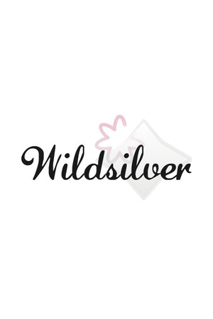 Wildsilver cover art