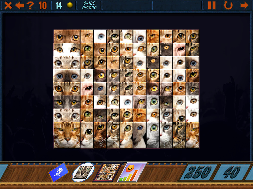 Clutter 1000 on Steam