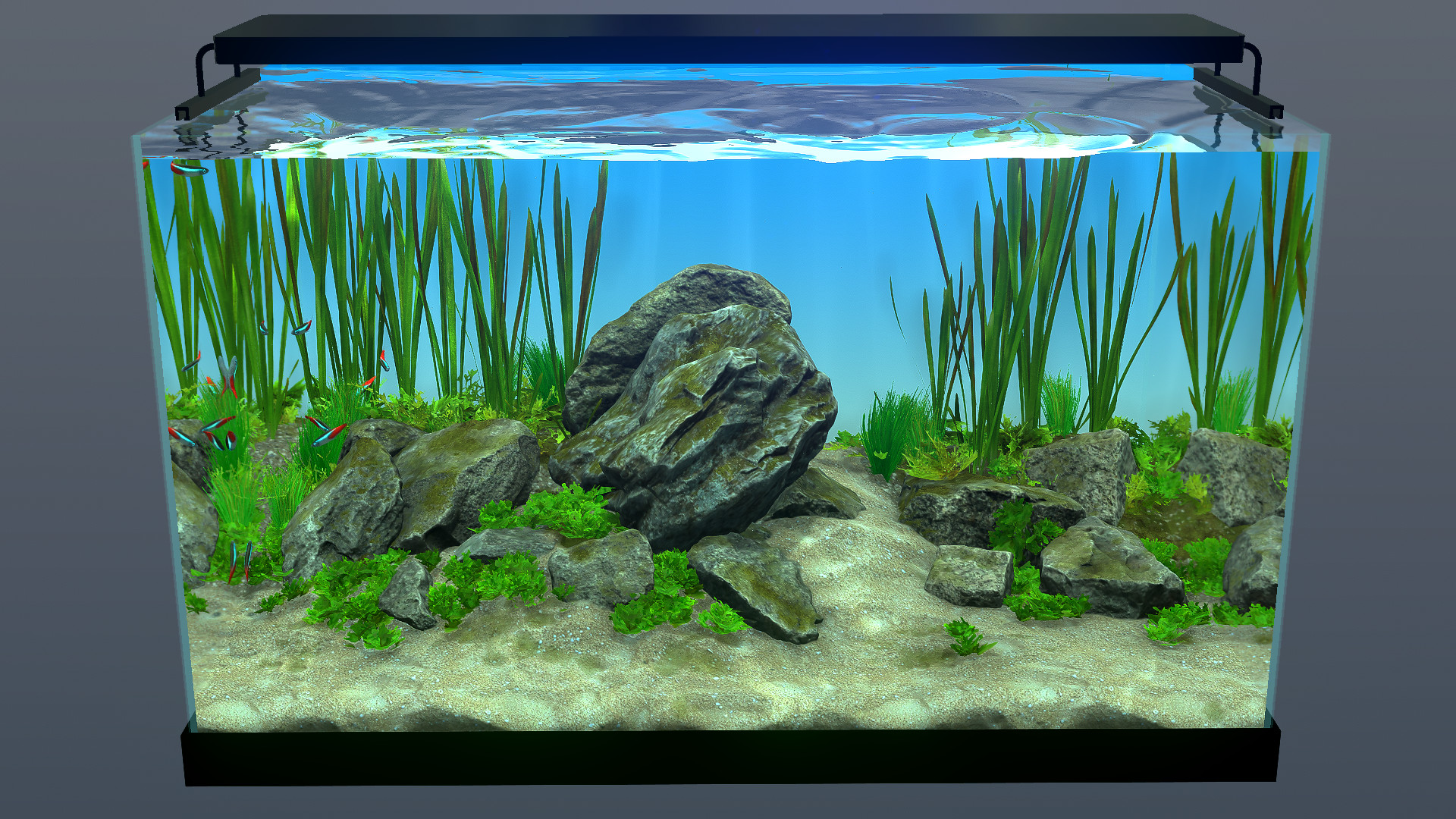 Steam Behind Glass Aquarium Simulator