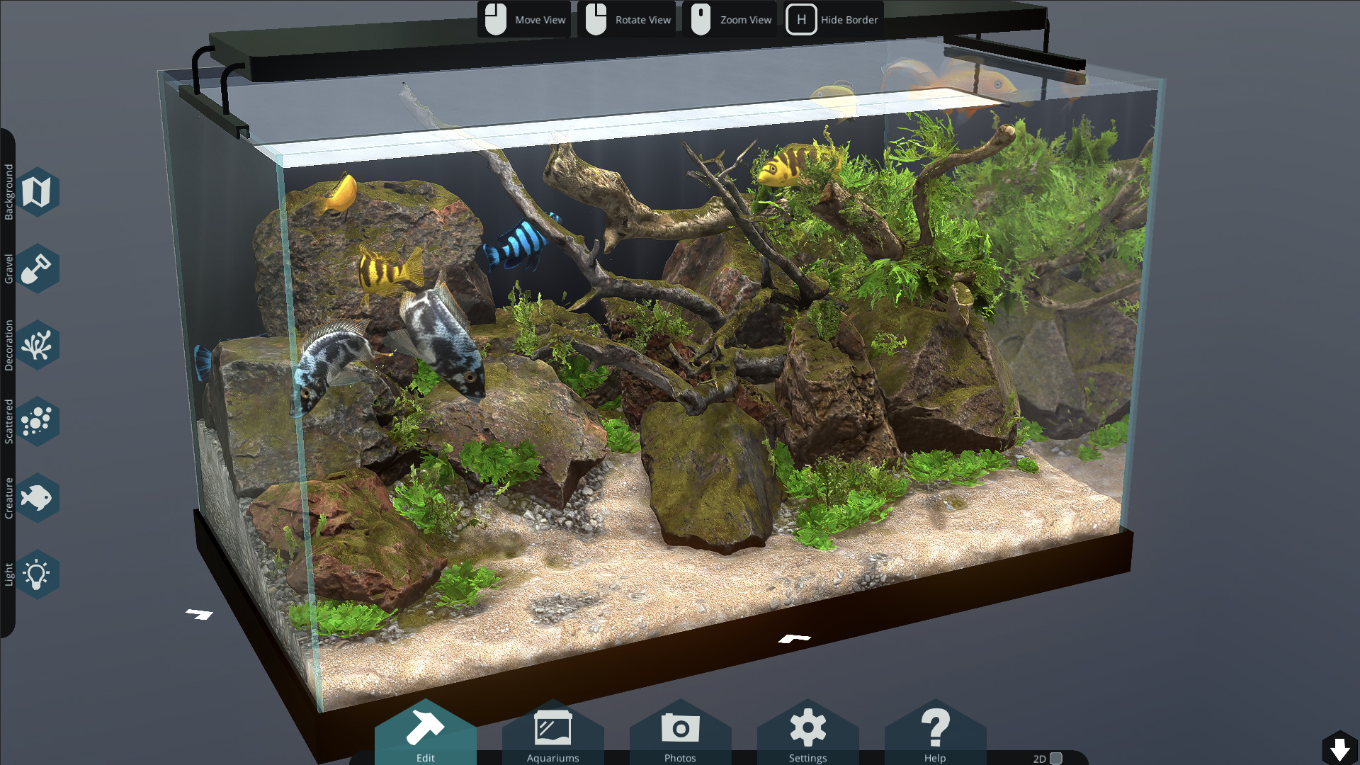Behind Glass: Aquarium Simulator on Steam