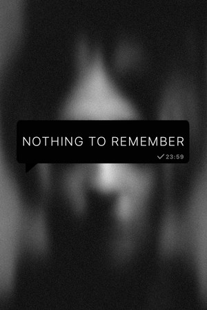 Nothing to Remember cover art