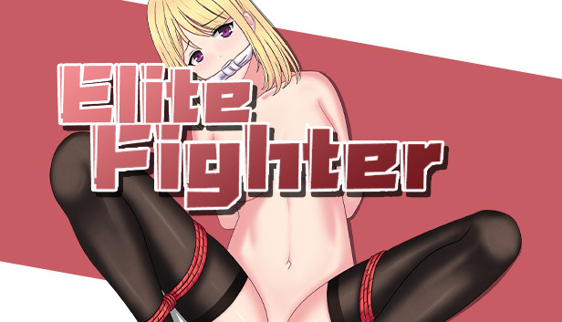 Elite Fighter Steam capsule image