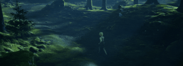 nearby-forest-long_620_x_226.gif