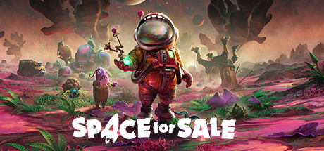 Space for Sale Cover Image