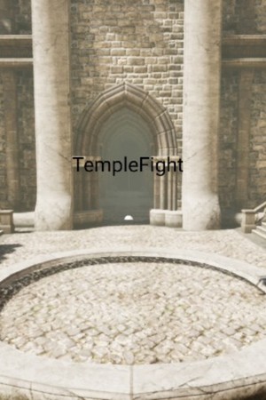 TempleFight cover art