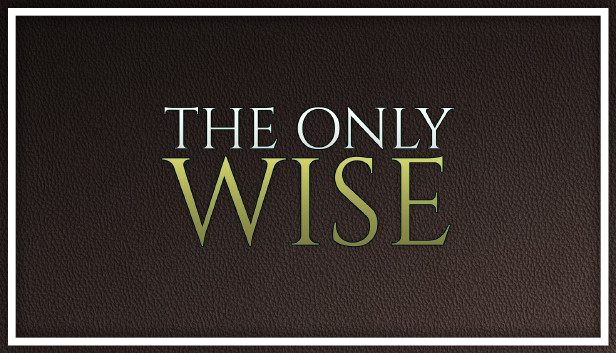The Only Wise Steam capsule image