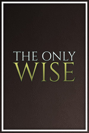 The Only Wise cover art