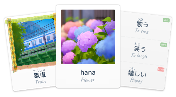 Shashingo_Flash_Cards.png?t=1709210509