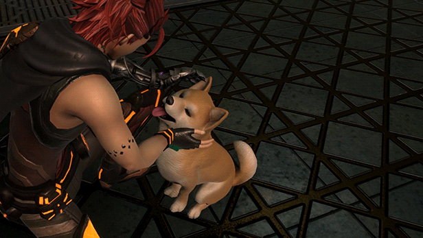Metal_Max_Xeno_Reborn_Pet_the_dog_Pochi.gif