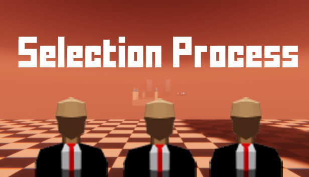 Selection Process Steam capsule image