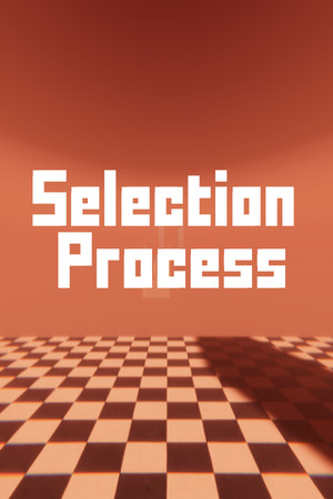 Selection Process