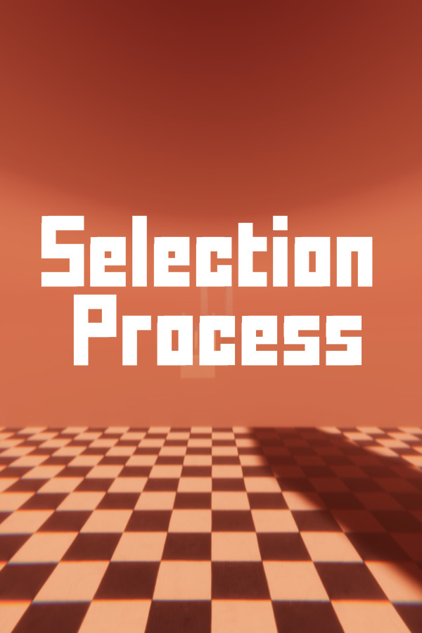 Selection Process